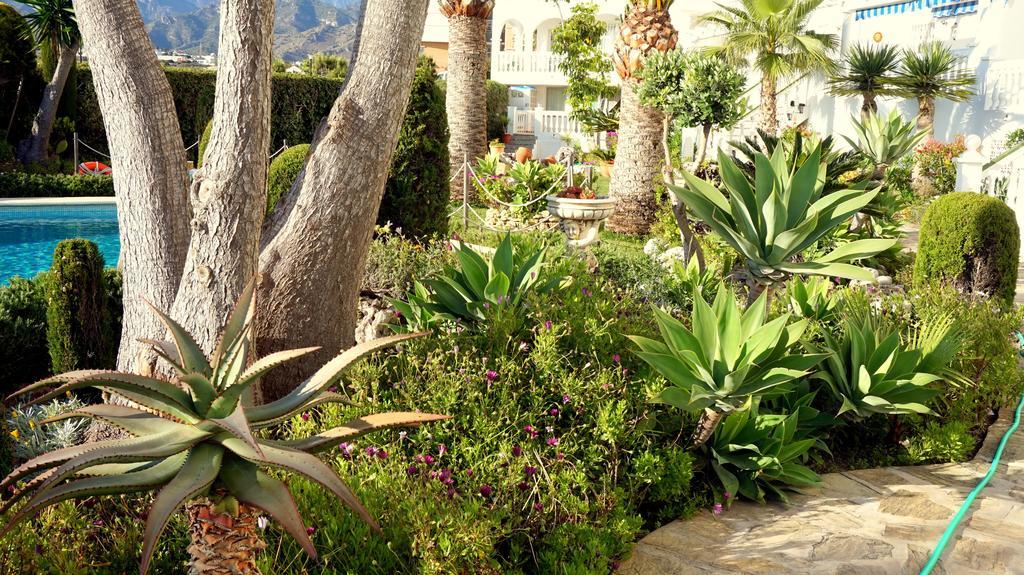 Apartamentos Starnerja En Stella Maris Nerja Quarto foto